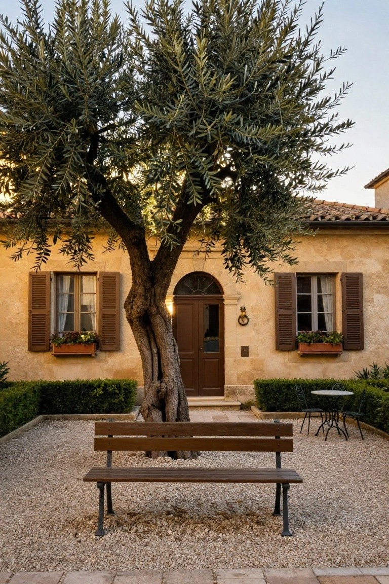 Beige stucco house with terracotta roof, arched wooden front door, shuttered windows with flower boxes, large olive tree with twisted trunk in gravel courtyard, wooden bench, small table, and boxwood hedges.
