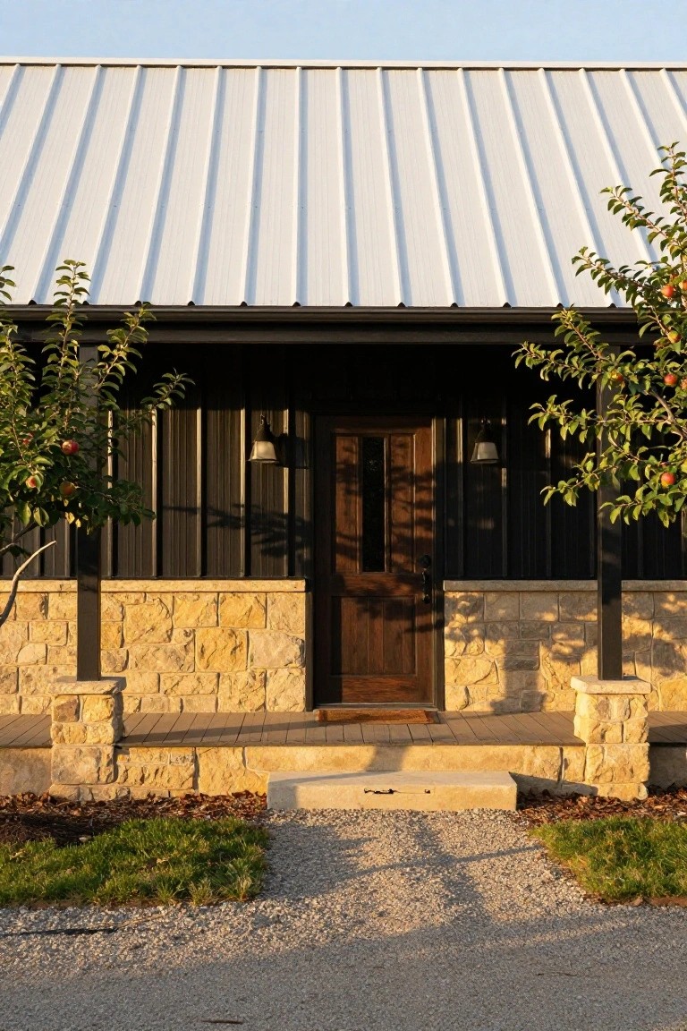 Front exterior view of a house with a white standing seam metal roof, black vertical metal siding on the porch, beige stone pillars and base, wooden door with sidelights, flanked by small apple trees, gravel path, and grass in foreground.