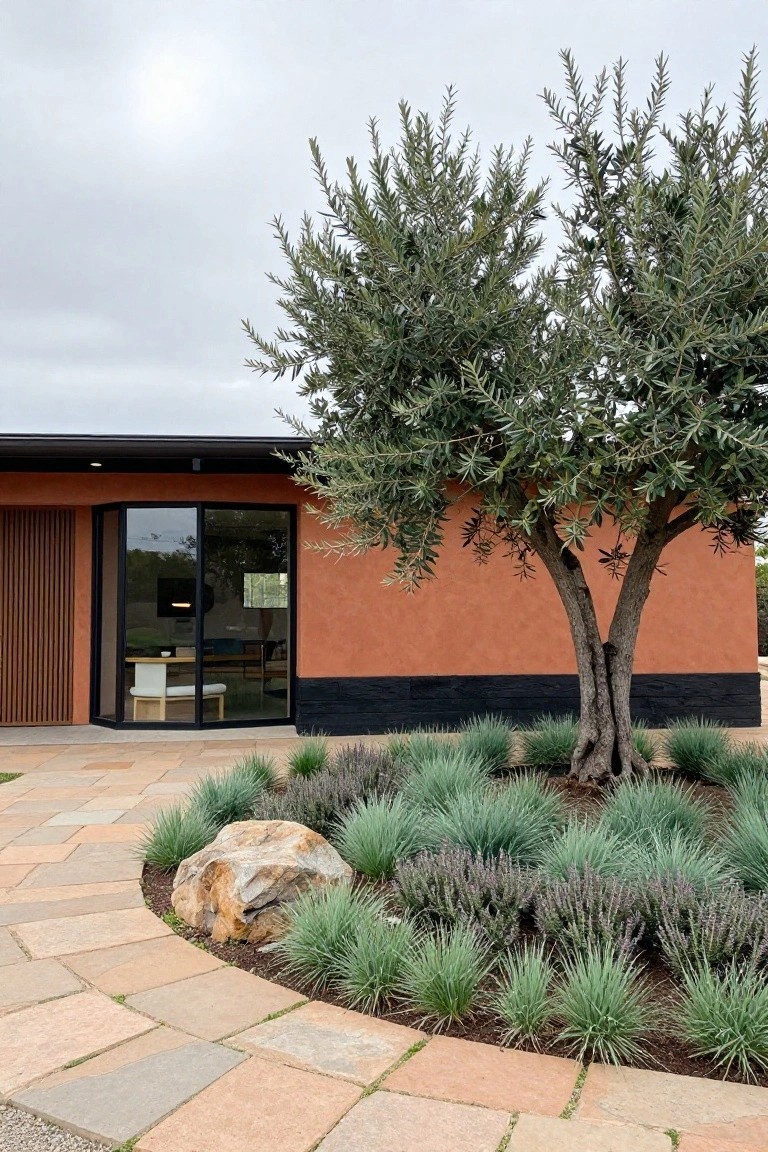 Terracotta mid-century modern ranch house exterior with vertical wood siding, large glass entry door, black base trim, mature olive tree adjacent to the facade, curved paver path, large boulder, lavender plants, and ornamental grasses in a mulched bed.