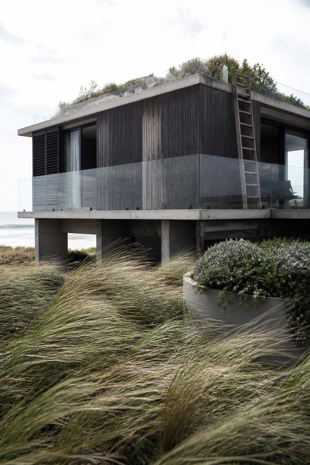 A modern elevated house with dark wood siding, concrete pillars and frame, glass railings, and a planted roof beside tall coastal grass.
