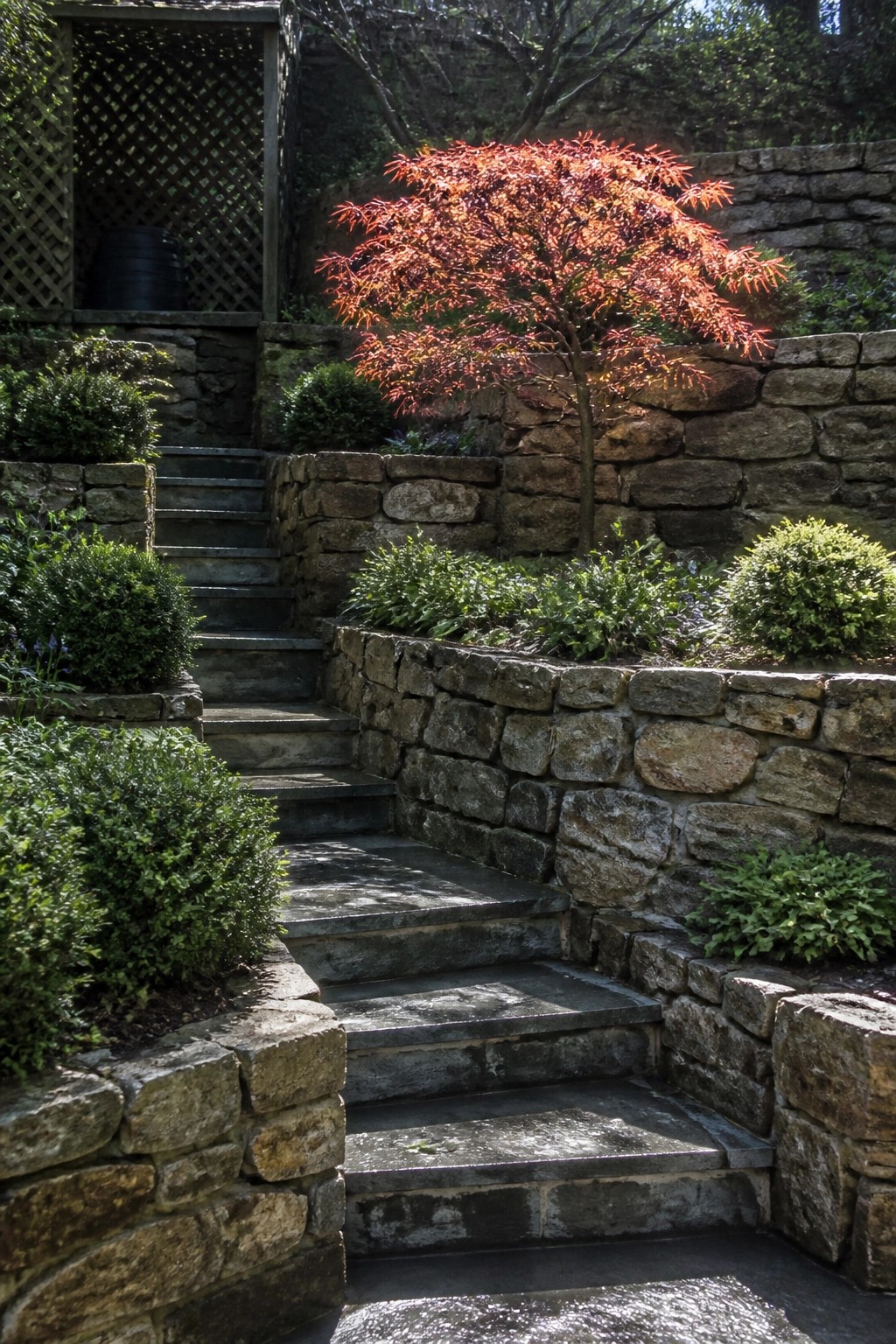 A winding stone staircase descends through terraced retaining walls lined with green shrubs and a small red-leafed tree.